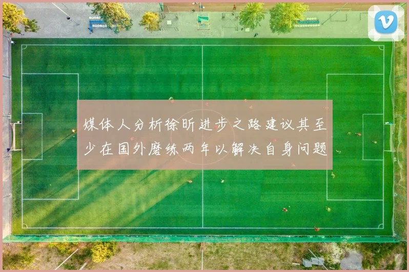 媒体人分析徐昕进步之路建议其至少在国外磨练两年以解决自身问题
