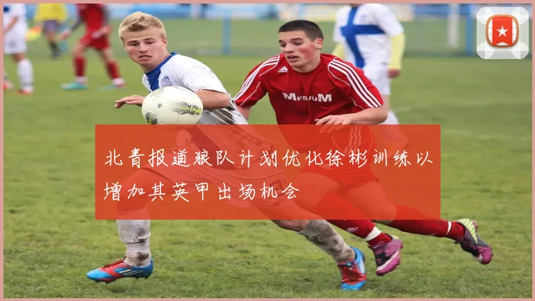 北青报道狼队计划优化徐彬训练以增加其英甲出场机会