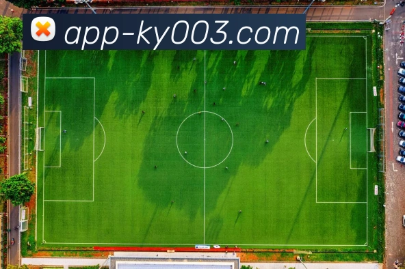 App 展示图