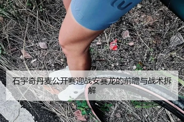 石宇奇丹麦公开赛迎战安赛龙的前瞻与战术拆解 | kaiyun